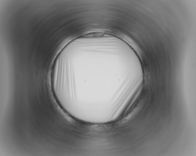 X0000110880906200907091419