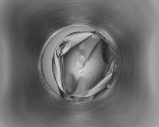 X0000110880908200907091419