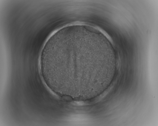 X0000110880911200907091419