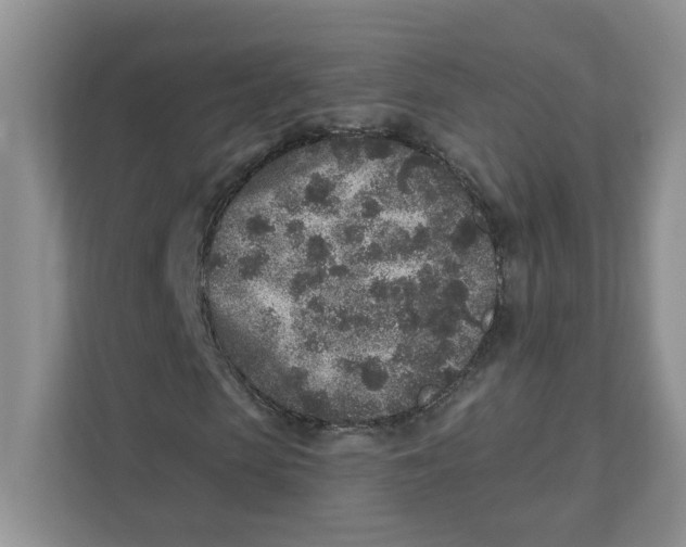 X0000110880913200907091418