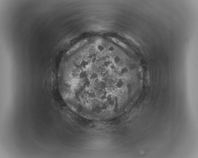 X0000110880917200907091418