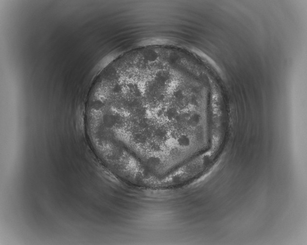 X0000110880921200907091418