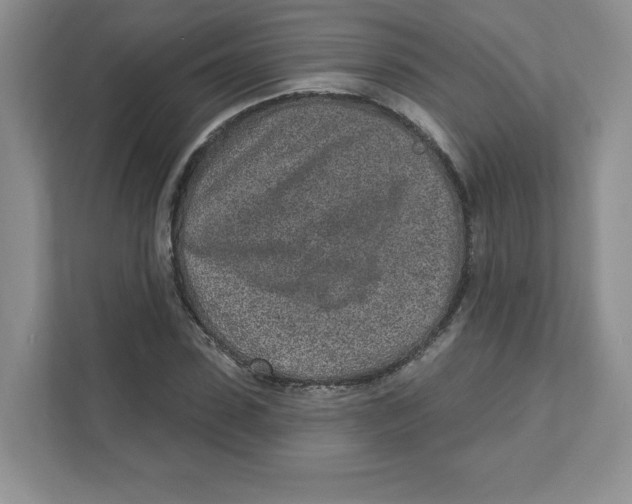 X0000110880923200907091418