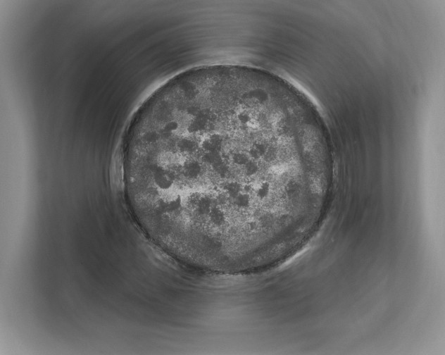 X0000110880925200907091418