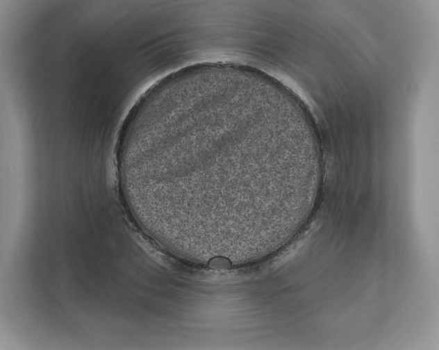 X0000110880927200907091418