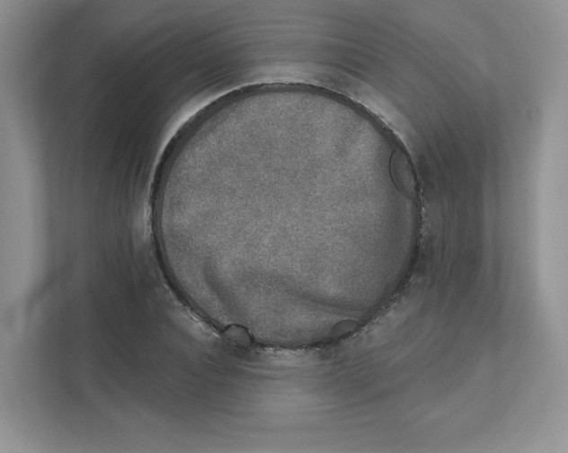 X0000110880928200907091418