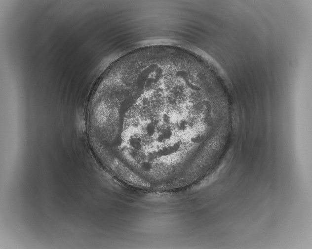 X0000110880929200907091418