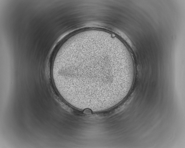 X0000110880931200907091418