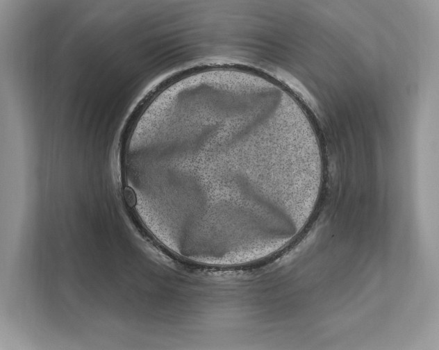 X0000110880934200907091418