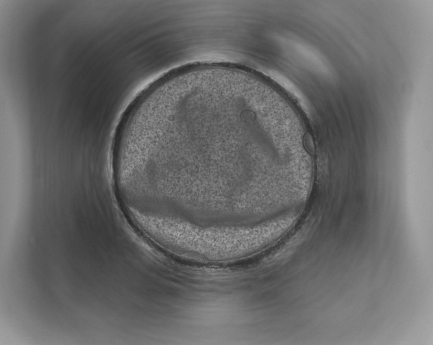 X0000110880935200907091418