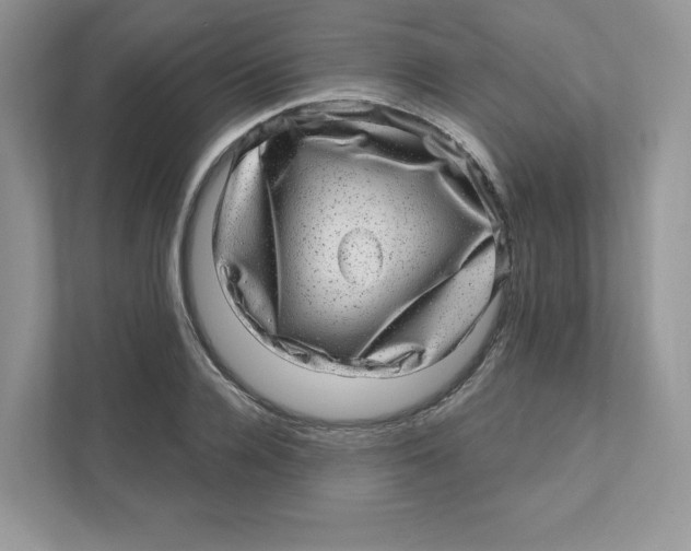 X0000110880936200907091418