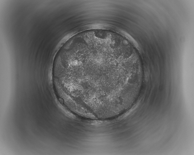 X0000110880938200907091418