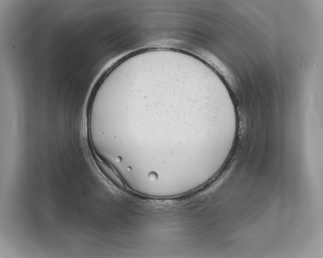 X0000110880940200907091418