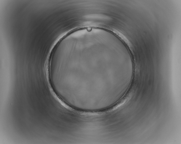 X0000110880941200907091418