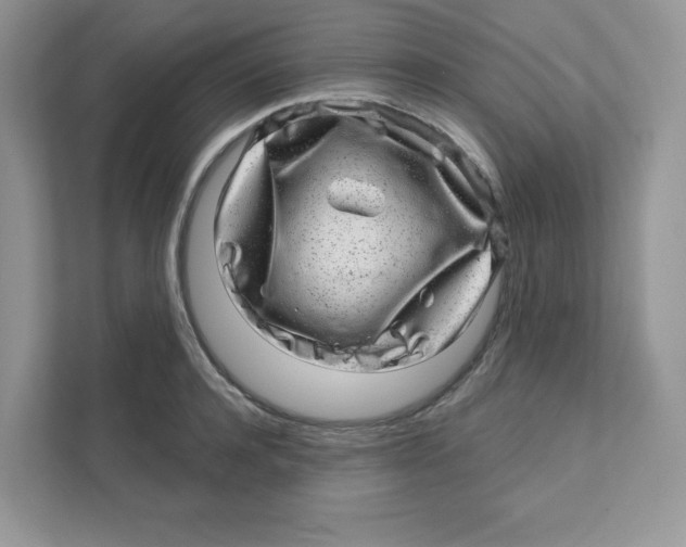 X0000110880944200907091418