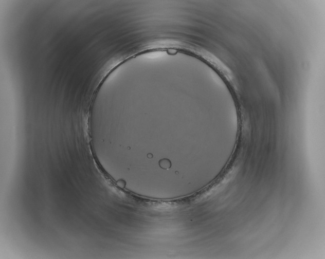 X0000110880945200907091418