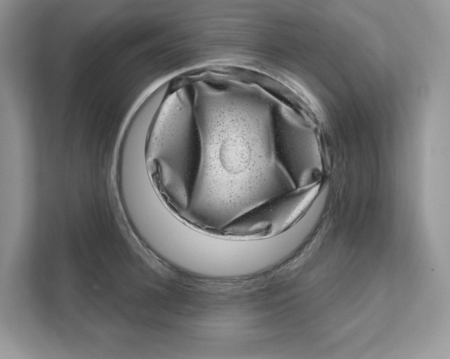 X0000110880948200907091419