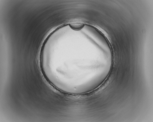 X0000110880949200907091419