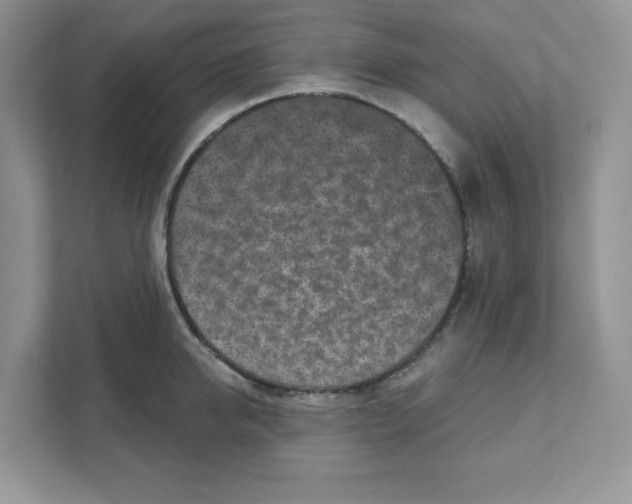 X0000110880950200907091419