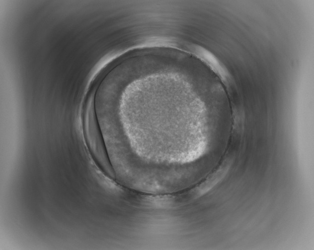 X0000110880952200907091419