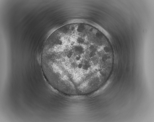 X0000110880953200907091419