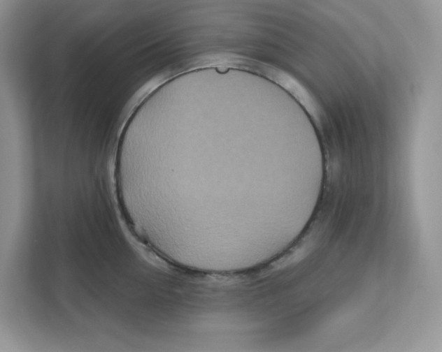 X0000110880954200907091419