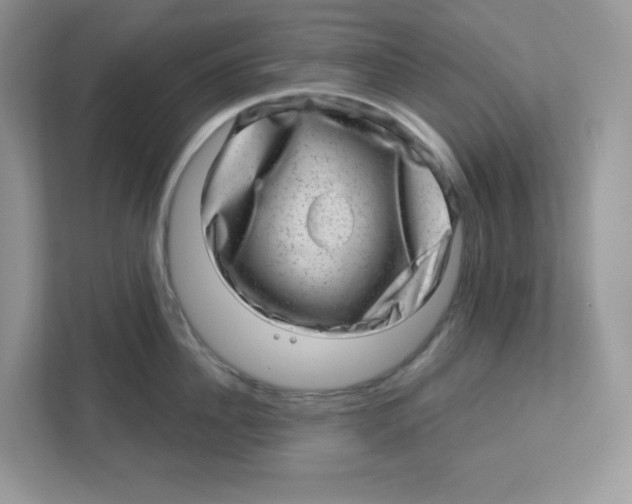 X0000110880956200907091419