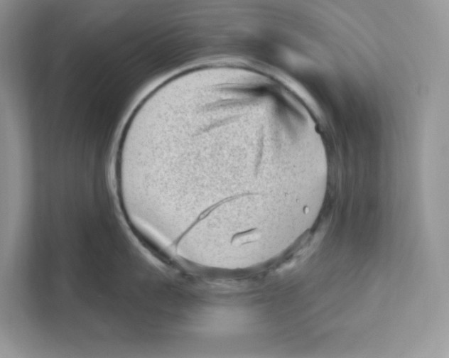 X0000110880959200907091419