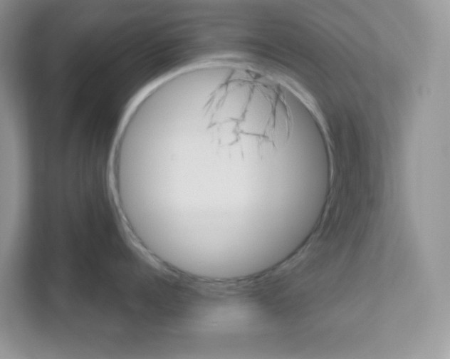 X0000110880960200907091419