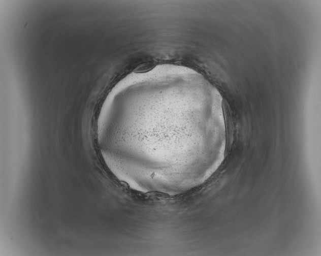 X0000110880961200907091418