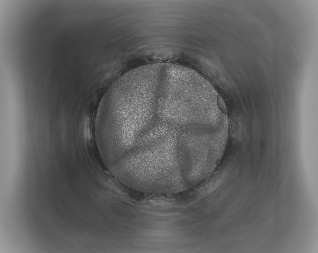 X0000110880962200907091418