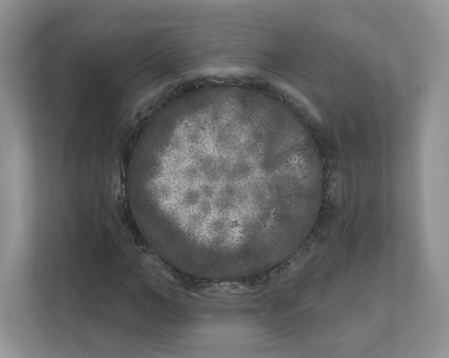 X0000110880966200907091418