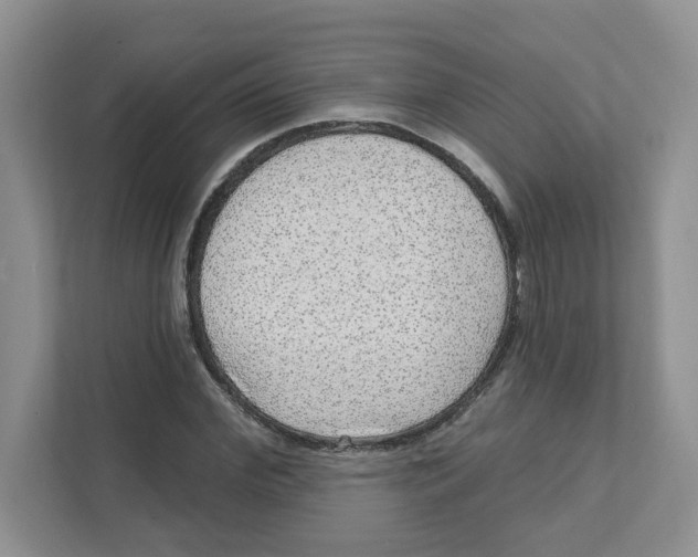 X0000110880972200907091418