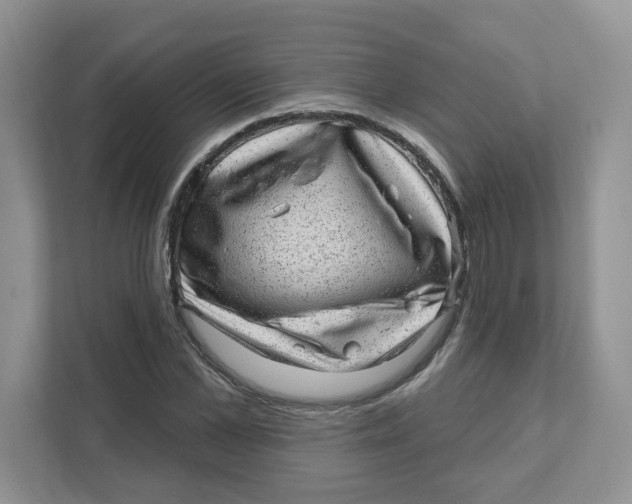 X0000110880973200907091418