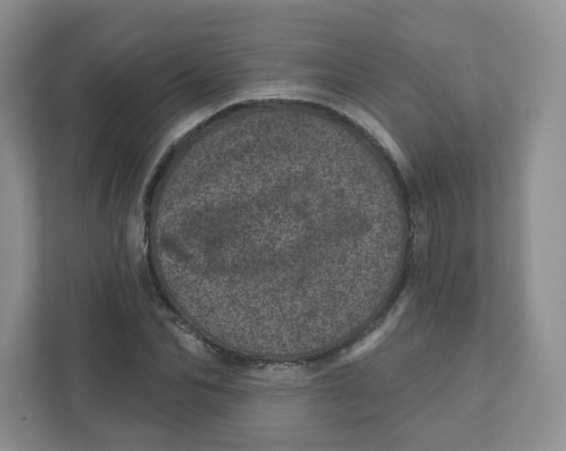 X0000110880974200907091418