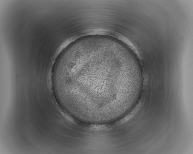 X0000110880978200907091418