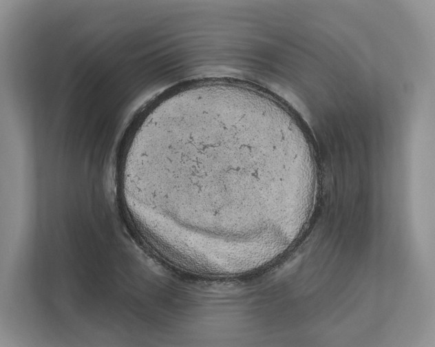 X0000110880979200907091418