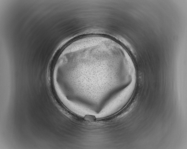 X0000110880981200907091418