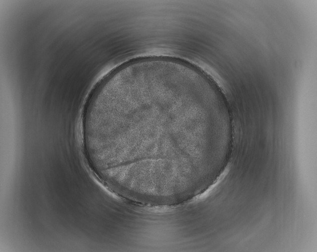 X0000110880982200907091418