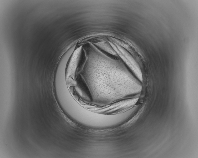 X0000110880985200907091418