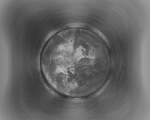 X0000110880986200907091418