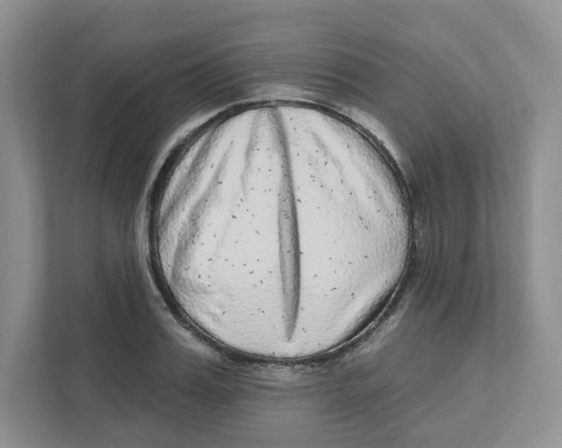 X0000110880987200907091418