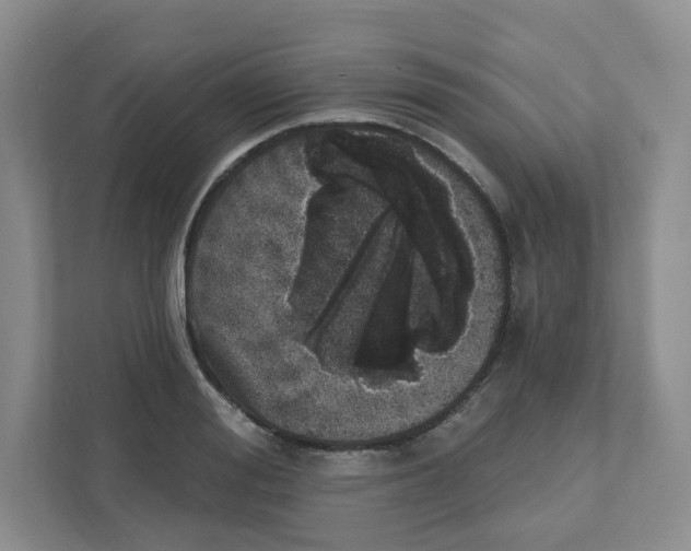 X0000110880988200907091418