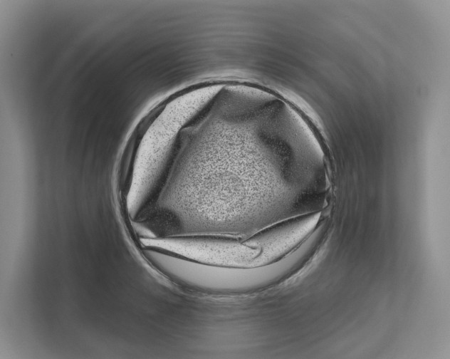 X0000110880989200907091418