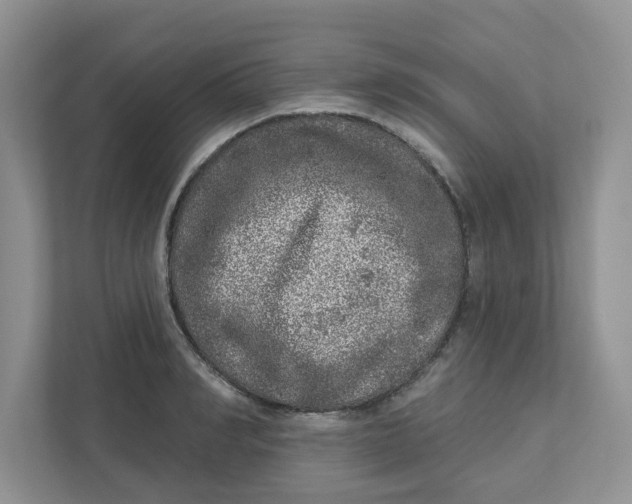 X0000110880990200907091418