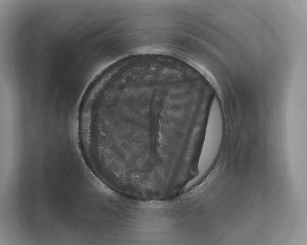 X0000110880992200907091418