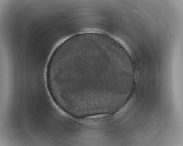 X0000110880995200907091418