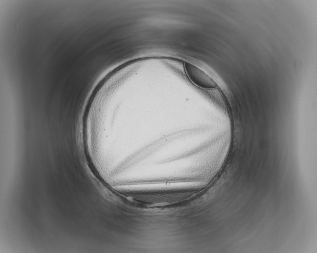 X0000110880996200907091418