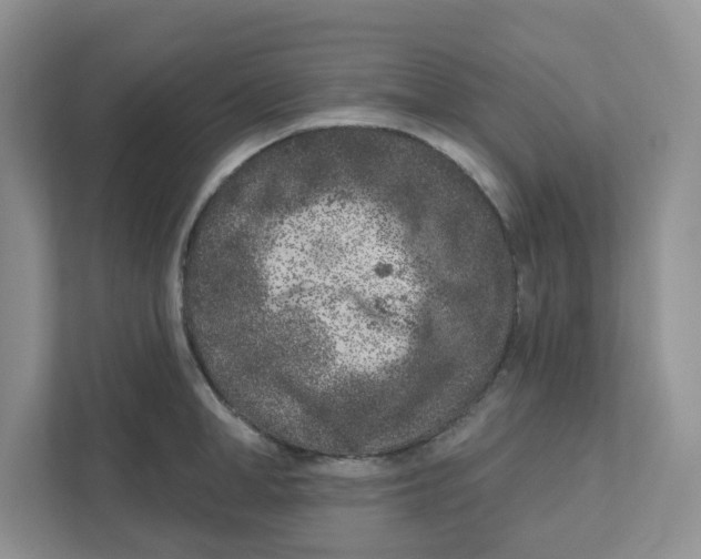 X0000110880998200907091418