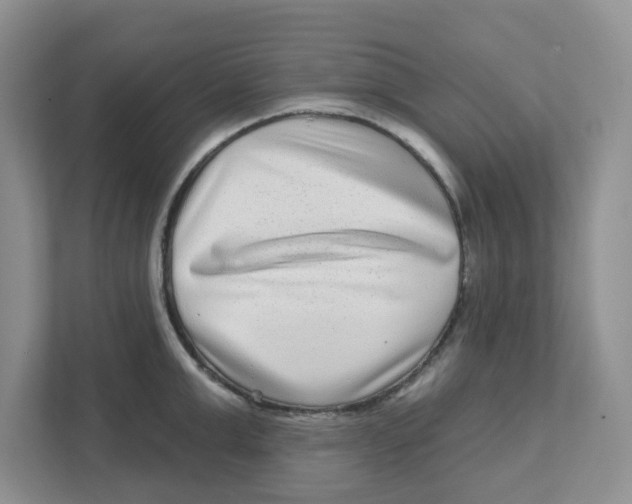 X0000110880999200907091418